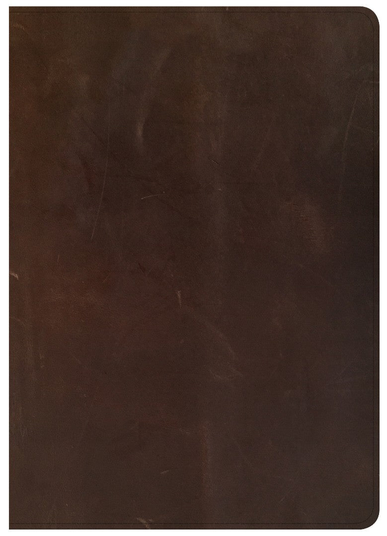 CSB She Reads Truth Bible, Brown Genuine Leather, Indexed