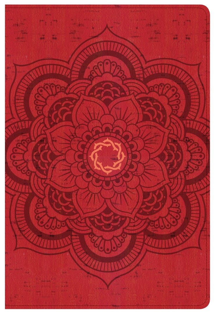 CSB Essential Teen Study Bible, Red Flower Cork Leathertouch
