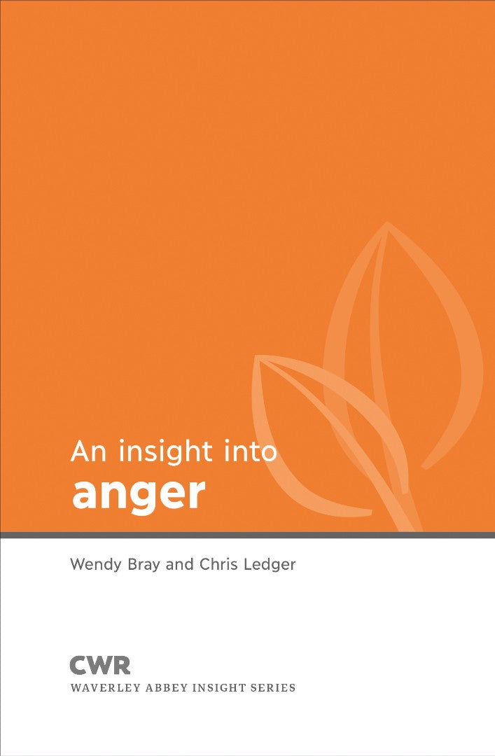 Insight into Anger - Re-vived