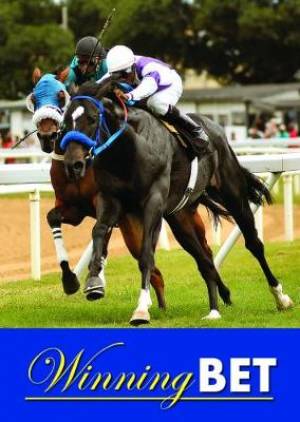 Winning Bet, The Tracts (Pack of 50)