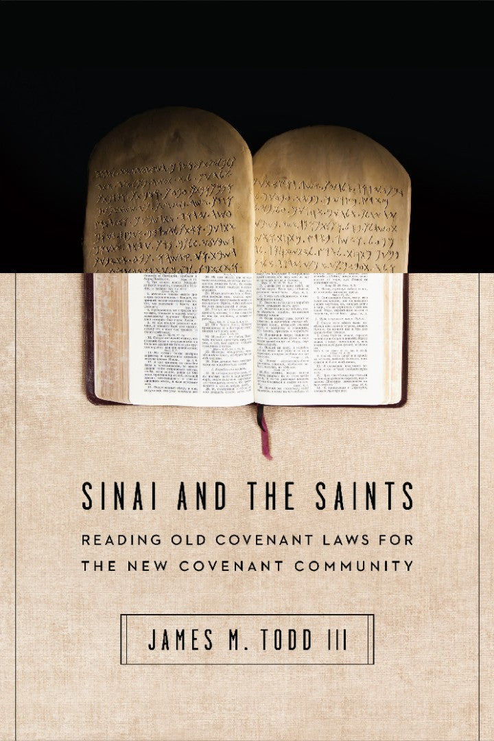 Sinai And The Saints - Re-vived