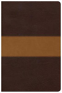 CSB Disciple's Study Bible, Brown/Tan LeatherTouch