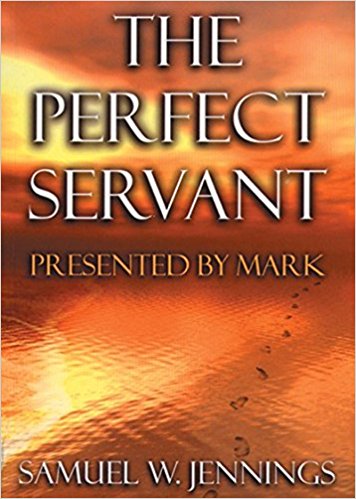 The Perfect Servant - Re-vived