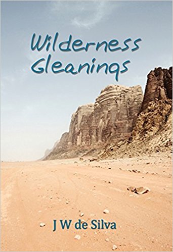 Wilderness Gleanings - Re-vived