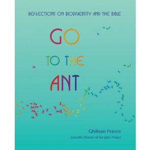 Go To The Ant - Re-vived