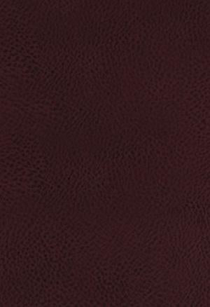KJV Study Bible, The, Bonded Leather, Full-Color Ed.