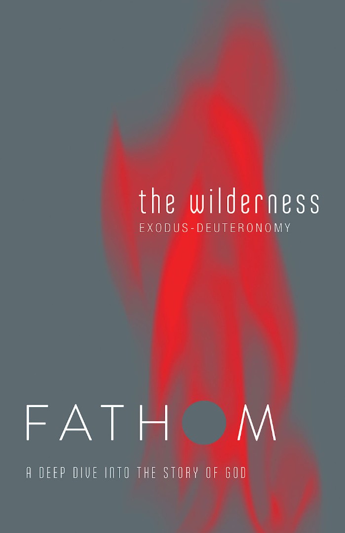 Fathom Bible Studies: The Wilderness Student Journal - Re-vived