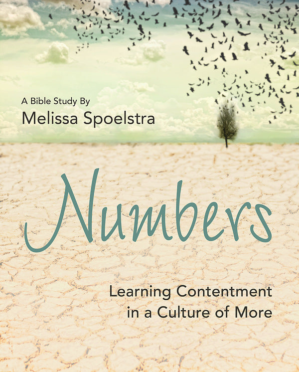 Numbers - Women's Bible Study Participant Workbook - Re-vived