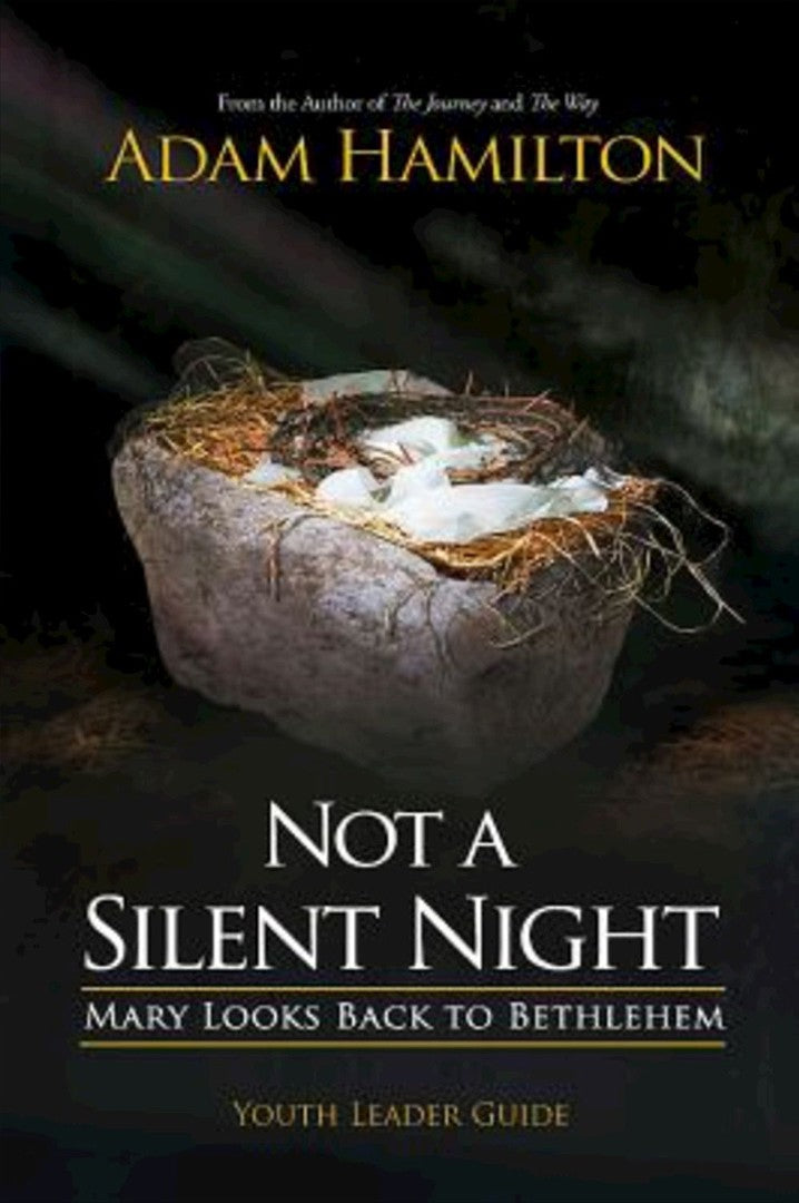 Not a Silent Night Youth Leader Guide - Re-vived