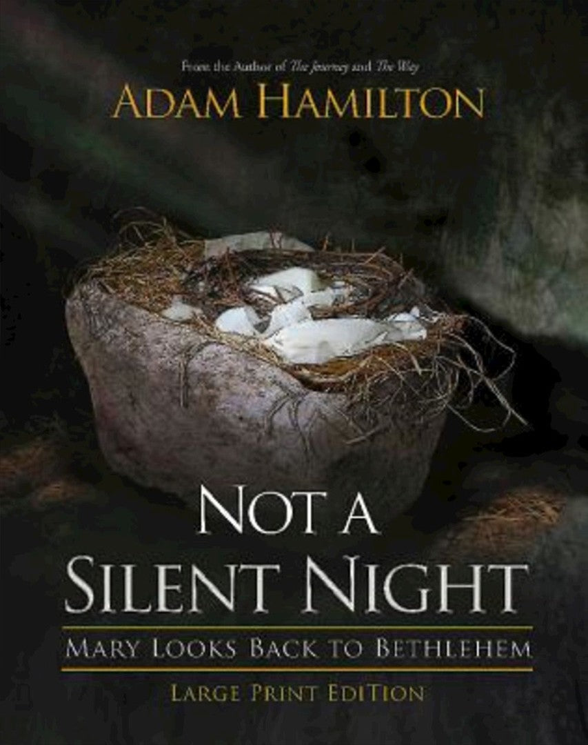 Not a Silent Night [Large Print] - Re-vived