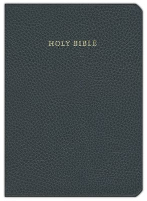 NIV Clarion Reference Bible, Calf Split Leather, NI484:X