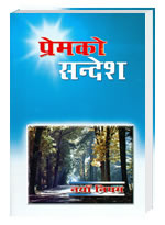 Punjabi New Testament