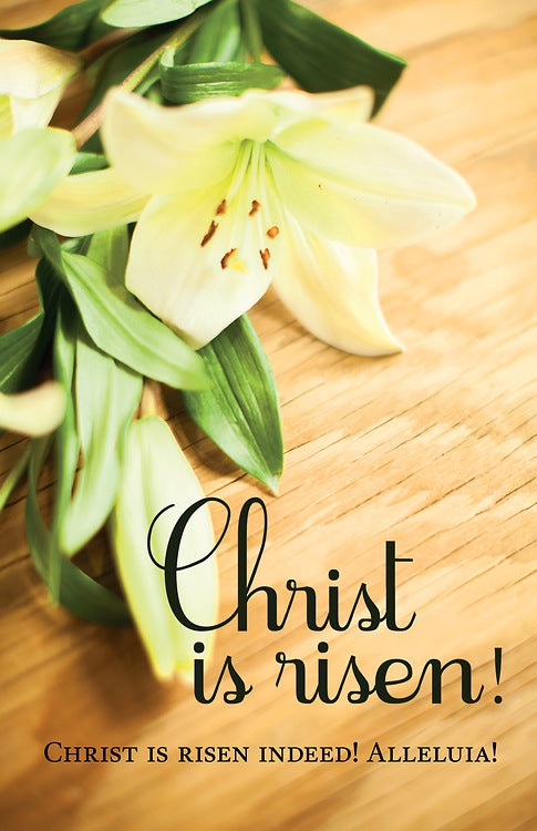 Christ Is Risen! Easter Lilies Bulletin (Pkg of 50)