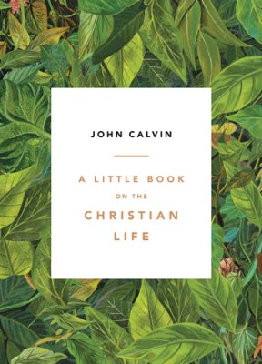 A Little Book On The Christian Life
