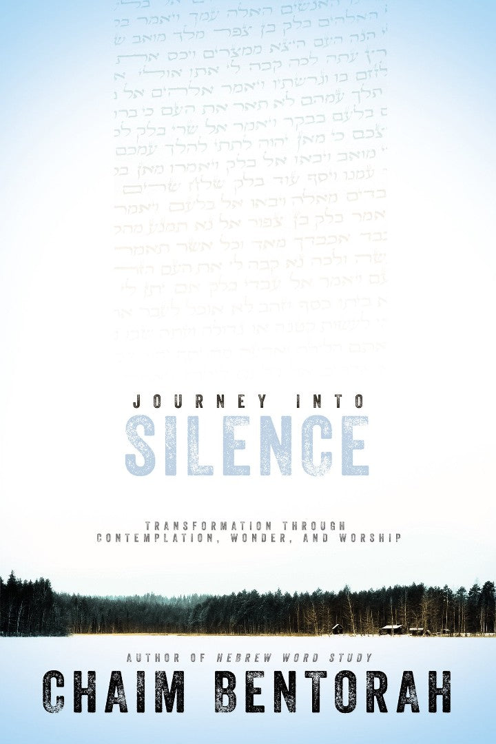 Journey Into Silence - Re-vived