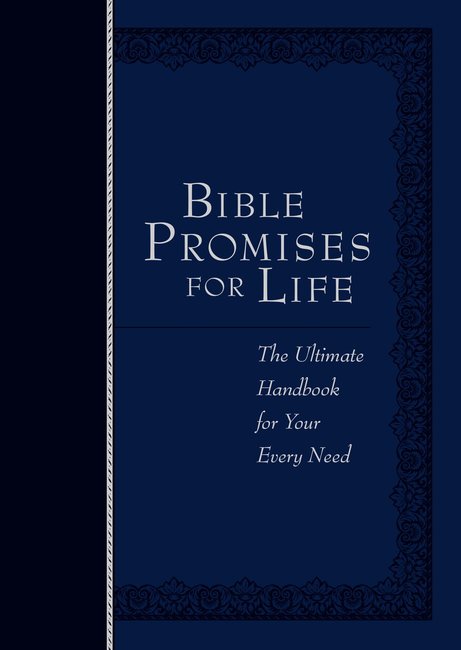 Bible Promises for Life, Navy