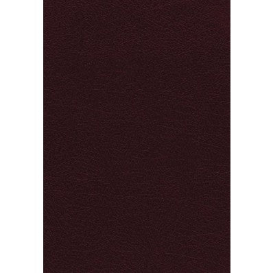 NKJV The Vines Expository Bible, Burgundy