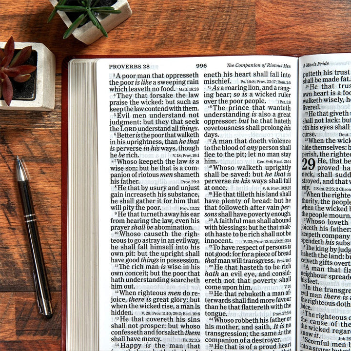 KJV Super Giant Print Reference Bible, Brown LeatherTouch - Re-vived