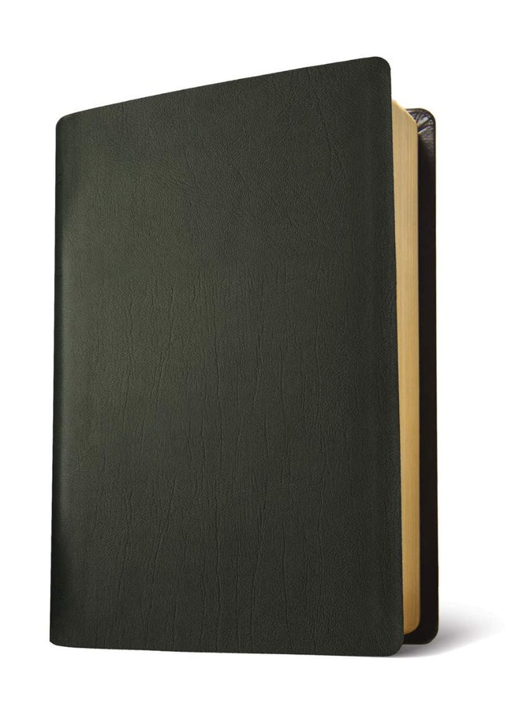 NLT Life Application Study Bible, Third Edition, Large Print - Re-vived