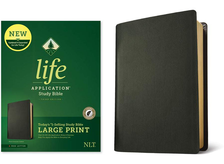 NLT Life Application Study Bible, Third Edition, Large Print - Re-vived