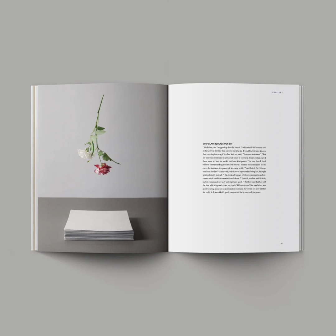 Book of Romans (Hardcover)
