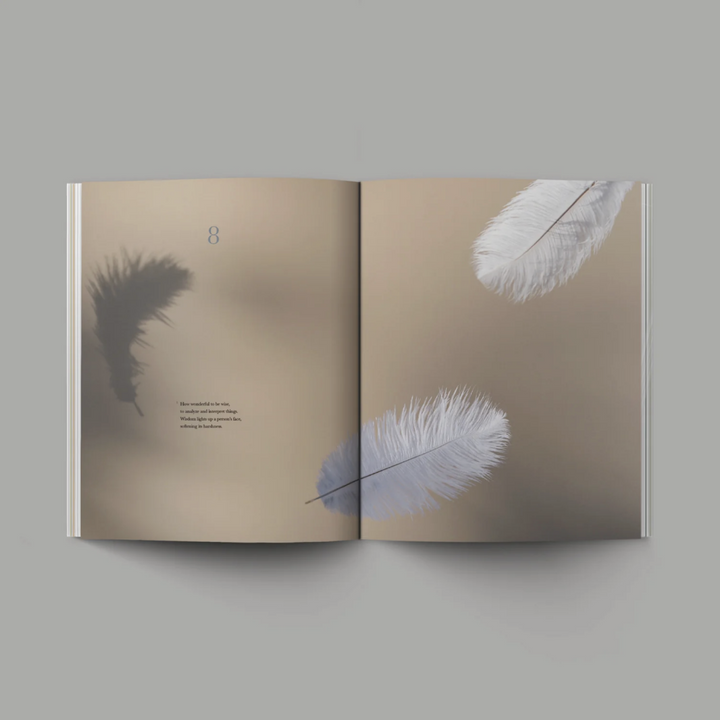 Book of Ecclesiastes (Hardcover)