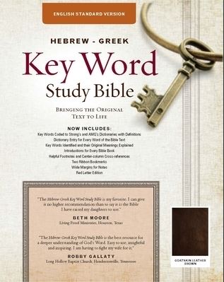 ESV Hebrew-Greek Key Word Study Bible, Brown - Re-vived