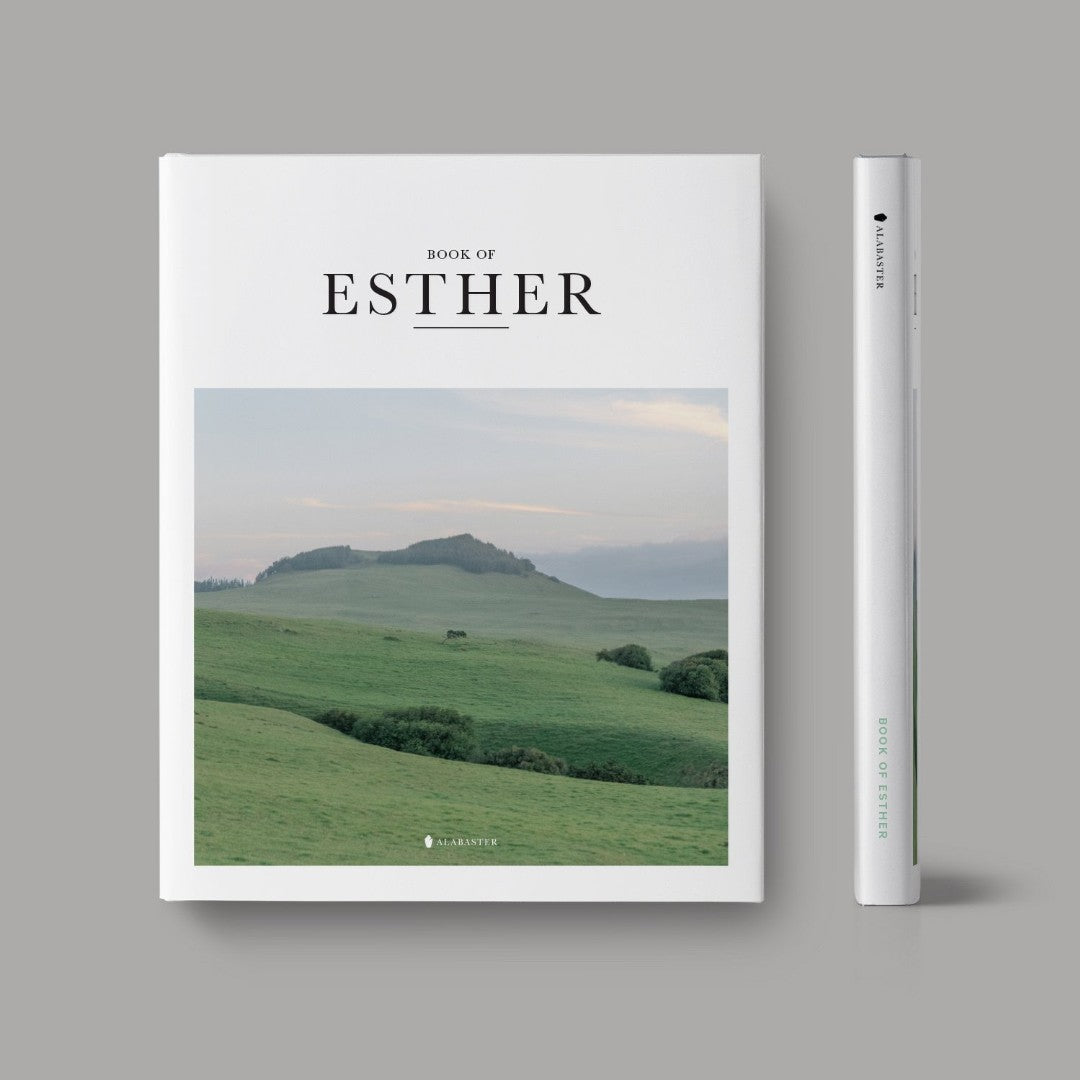 Book of Esther (Hardcover) - Re-vived