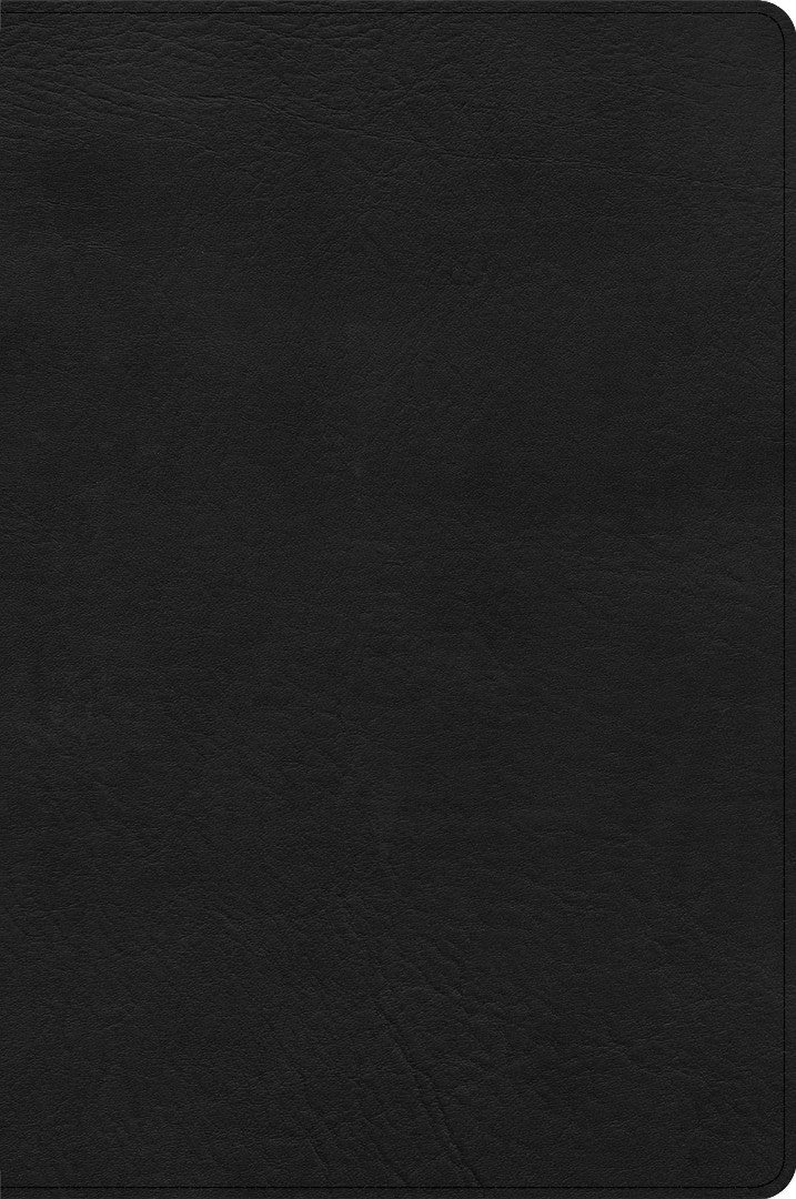CSB Large Print Thinline Bible, Black LeatherTouch
