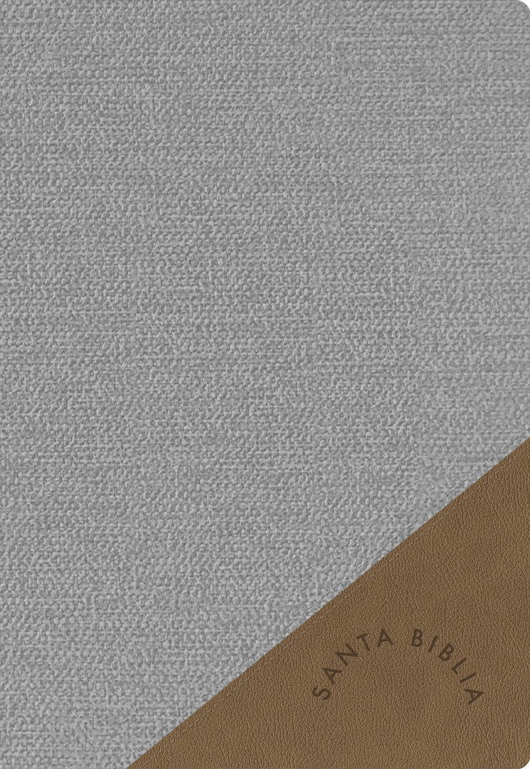 RVR 1960 Biblia Letra Súper Gigante edición 2023 gris - Re-vived