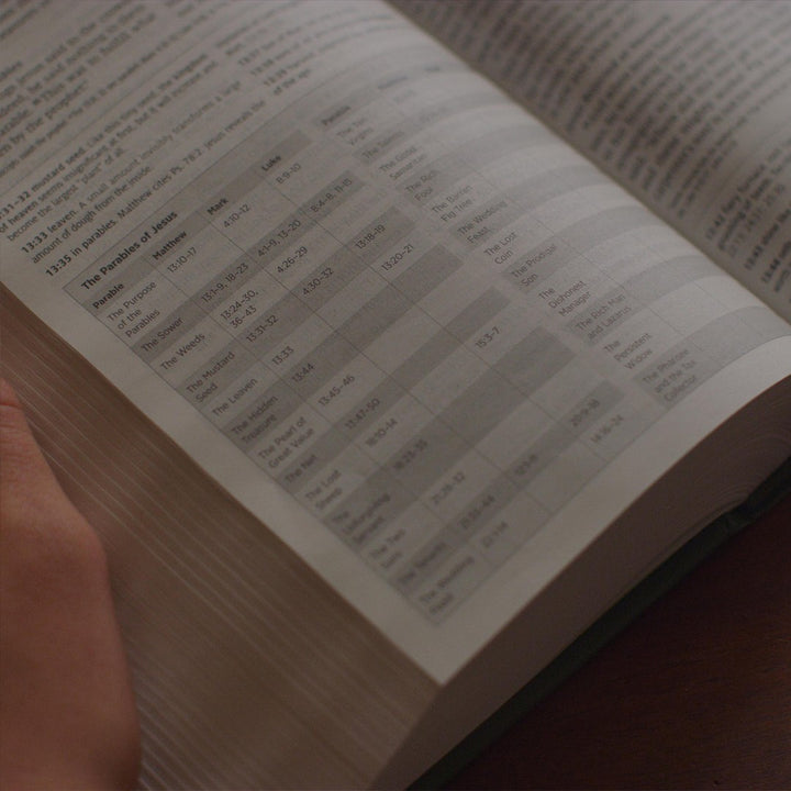 ESV Teen Study Bible, Wildwood