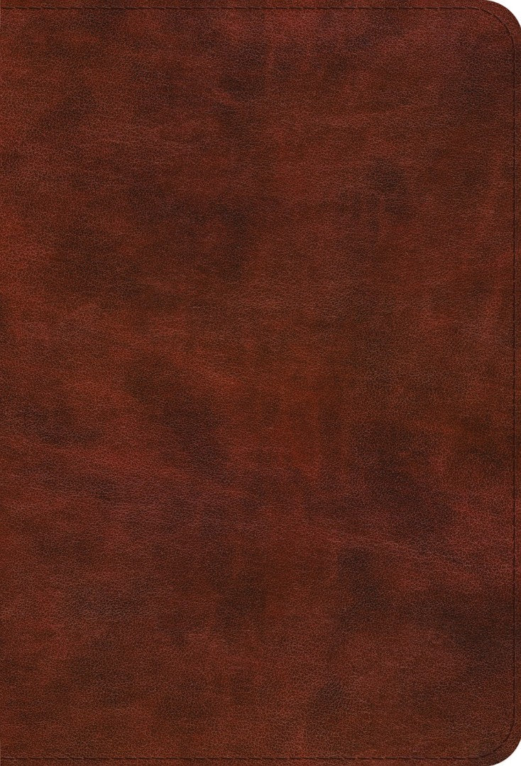 ESV Bible Promises - Re-vived