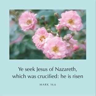 Ye Seek Jesus - Mark 16:6 Greetings Cards - Re-vived