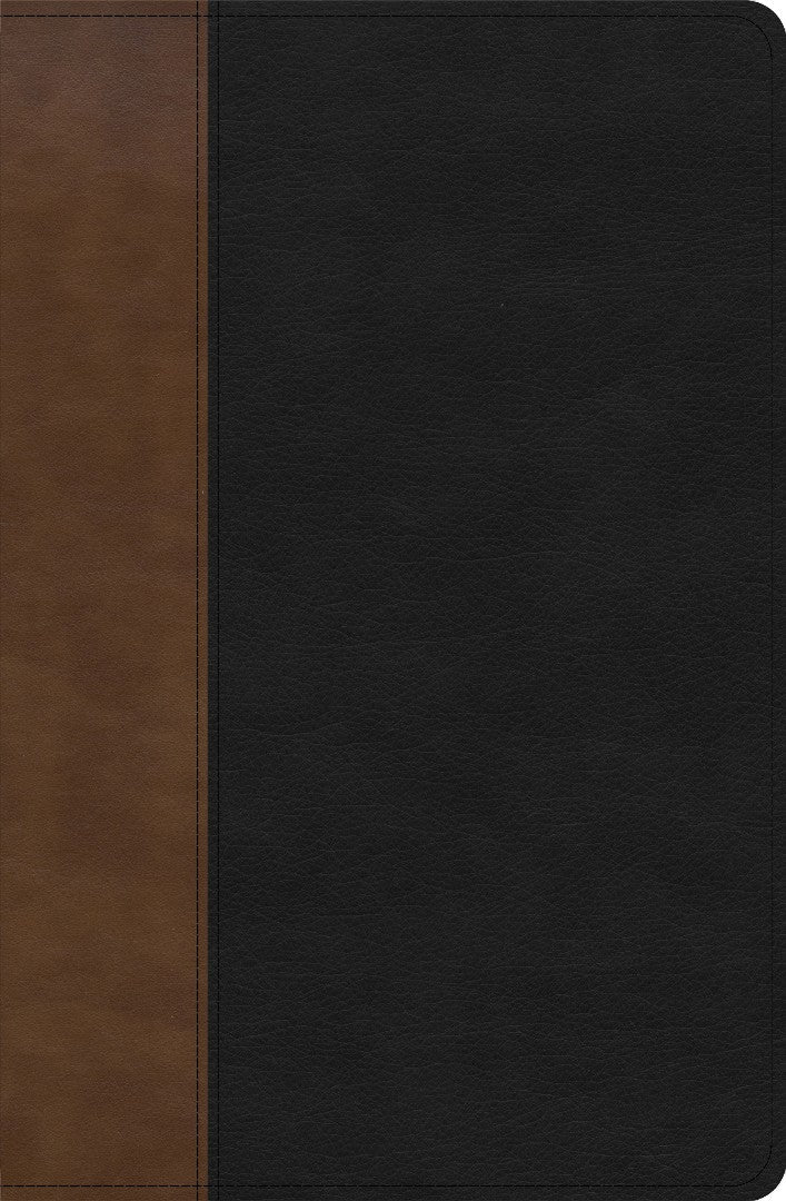 KJV Personal Size Giant Print Bible, Black/Brown, Indexed