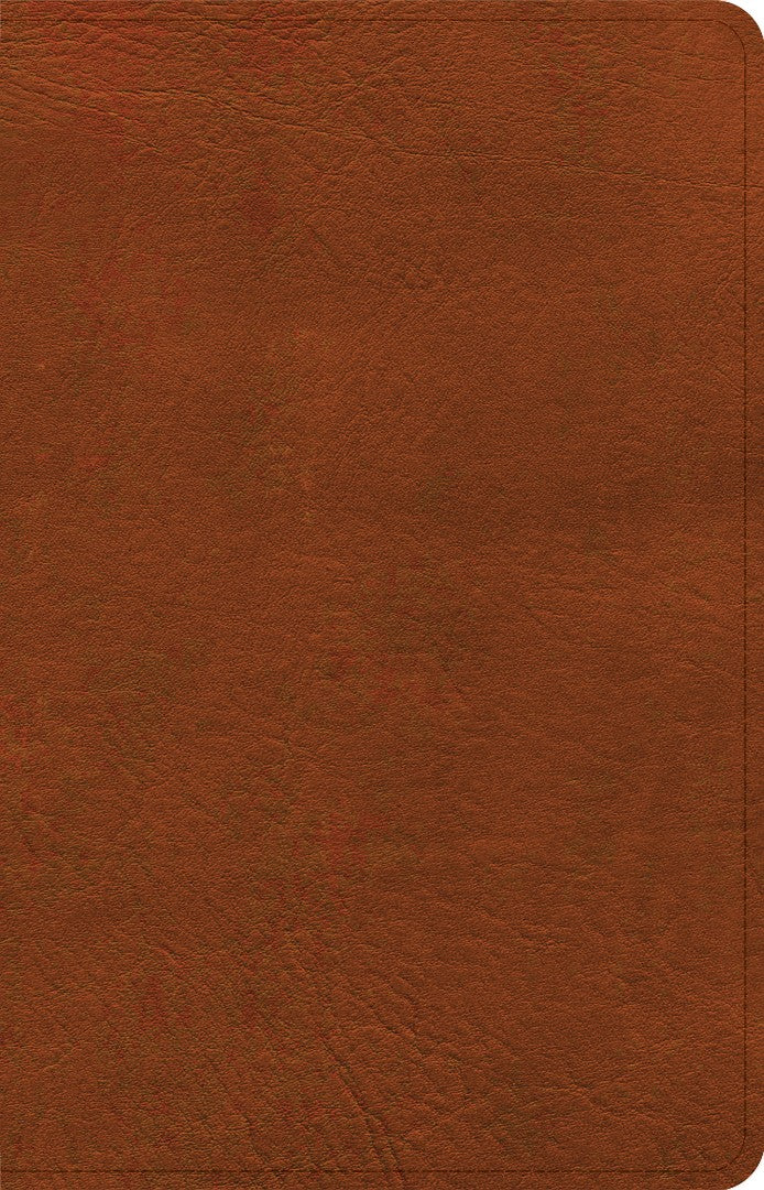 NASB Personal Size Bible, Burnt Sienna Leathertouch