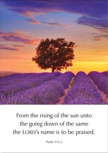 The LORD's Name is to be Praised - Greeting Cards - Re-vived