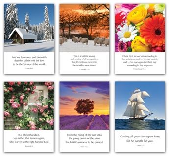 Greetings Cards - N series (mixed pack of 6) - Re-vived