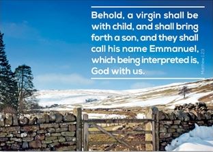 Behold, a Virgin Shall be With Child - Greeting Cards - Re-vived