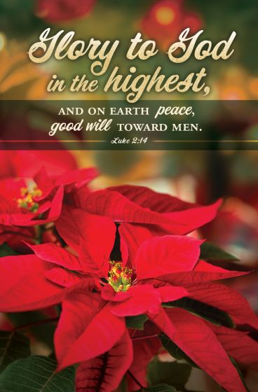 Glory to God in the Highest Christmas Bulletin (Pack of 100) - Re-vived