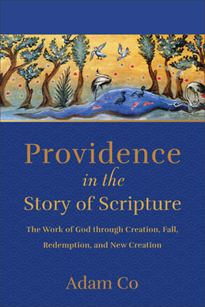 Providence in the Story of Scripture - Re-vived