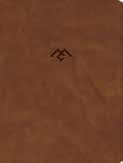 CSB Men Of Character Bible, Revised And Updated, Brown