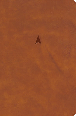 CSB Church Bible, Anglicised Edition, British Tan Leathertouch