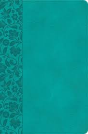 KJV Giant Print Reference Bible, Teal Leathertouch - Re-vived