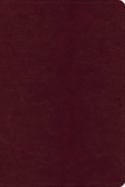 ESV Single Column Heritage Bible, Trutone, Chestnut - Re-vived