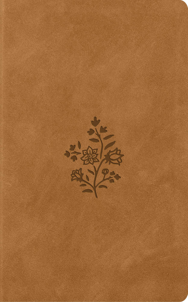 ESV Vest Pocket New Testament With Psalms And Proverbs