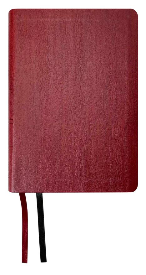 NASB 2020 Large Print Compact Bible, Red, Leathertex - Re-vived