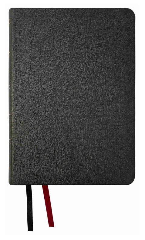 NASB 2020 Large Print Compact Bible, Black, Genuine Leather - Re-vived