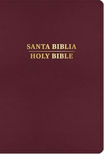 Rvr 1960/Kjv Biblia BilingüE Letra Grande, BorgoñA ImitacióN - Re-vived