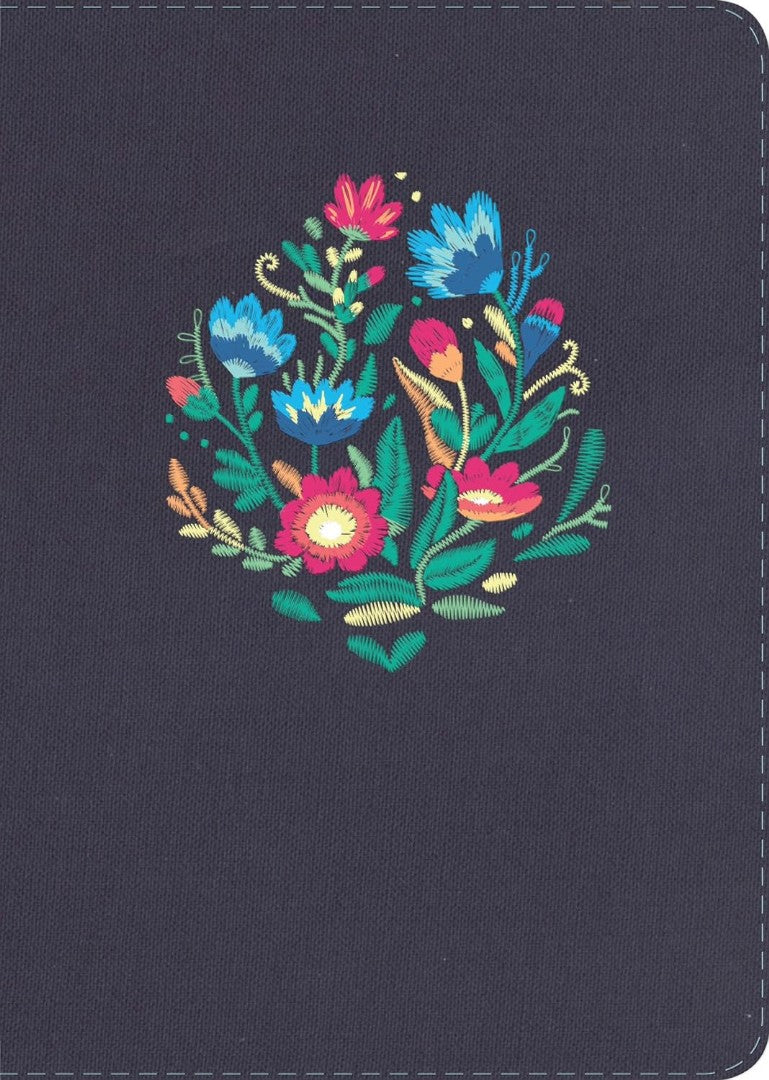 RVR 1960 Biblia Económica De Evangelismo, Rosa, Tapa RúStica