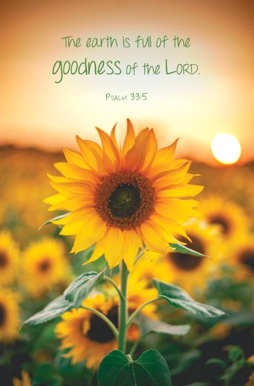The Earth Is Full Of The Goodness Of The Lord Bulletin - Re-vived